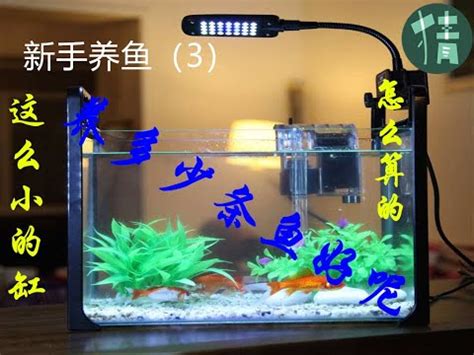 魚缸大小養魚數量|魚缸可以養幾隻魚？掌握飼養密度，用好水妖精讓管理更輕鬆